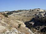 Il Monte degli Ulivi, a Gerusalemme