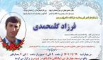 IRAN - Farzad Golmohammadi IRAN - Farzad Golmohammadi