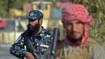 Due Talebani nella provincia di Herat. Settembre 2024. (Amu Tv) Due Talebani nella provincia di Herat. Settembre 2024. (Amu Tv)